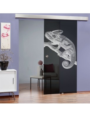 Glasschiebetür ECO-LINE Camelion II Gelasert Auf Grauglas
