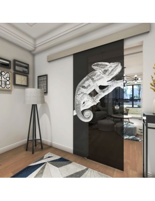 Glasschiebetür ECO-LINE Camelion II Gelasert Auf Grauglas