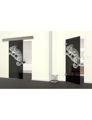 Glasschiebetür ECO-LINE Camelion II Gelasert Auf Grauglas