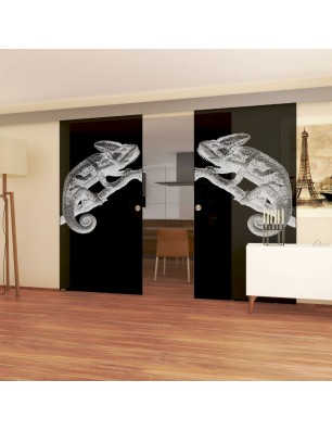 Glasschiebetür ECO-LINE Camelion II Gelasert Auf Grauglas