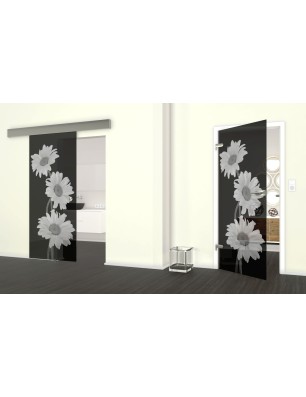 Glasschiebetür ECO-LINE Kamille Gelasert Auf Grauglas
