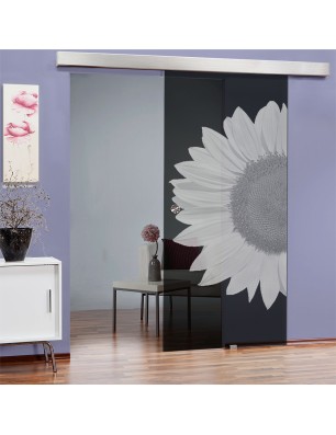 Glasschiebetür ECO-LINE Sonnenblume Gelasert Auf Grauglas
