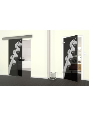 Glasschiebetür ECO-LINE Maikäfer Gelasert Auf Grauglas