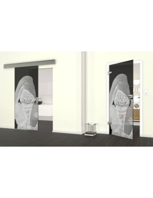 Glasschiebetür ECO-LINE Ready Gelasert Auf Grauglas