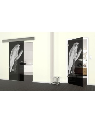 Glasschiebetür ECO-LINE Pappagei Gelasert Auf Grauglas