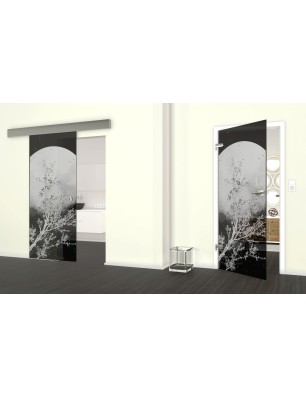 Glasschiebetür ECO-LINE Mond Gelasert Auf Grauglas