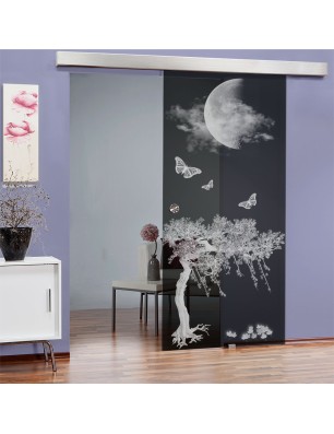 Glasschiebetür ECO-LINE Night Gelasert Auf Grauglas