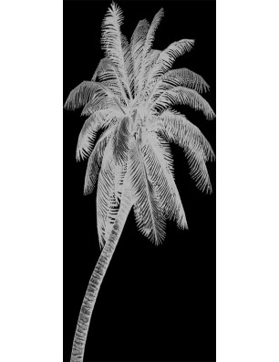 Glasschiebetür ECO-LINE Palme Gelasert Auf Grauglas