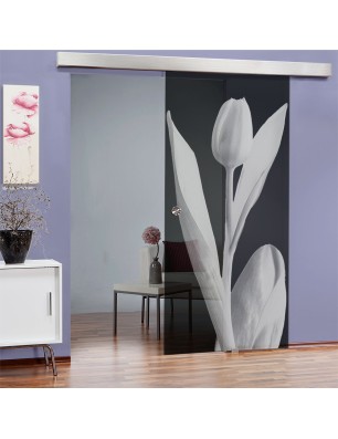 Glasschiebetür ECO-LINE Tulpe Gelasert Auf Grauglas