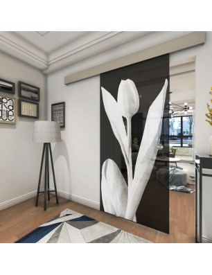 Glasschiebetür ECO-LINE Tulpe Gelasert Auf Grauglas