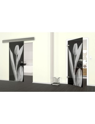 Glasschiebetür ECO-LINE Tulpe Gelasert Auf Grauglas
