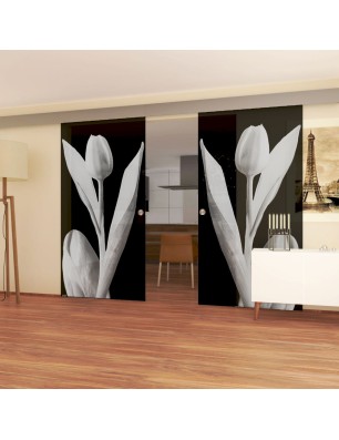 Glasschiebetür ECO-LINE Tulpe Gelasert Auf Grauglas