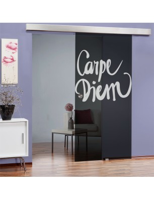 Glasschiebetür ECO-LINE Carpe Diem Gelasert Auf Grauglas