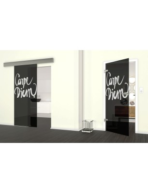 Glasschiebetür ECO-LINE Carpe Diem Gelasert Auf Grauglas
