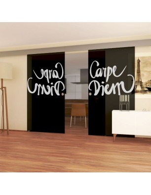 Glasschiebetür ECO-LINE Carpe Diem Gelasert Auf Grauglas