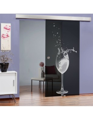 Glasschiebetür ECO-LINE Wein Gelasert Auf Grauglas