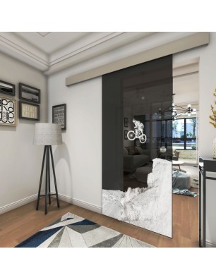 Glasschiebetür ECO-LINE Biker 2 Gelasert Auf Grauglas