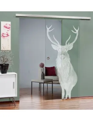 Glasschiebetür SLIM-LINE Widder Gelasert Auf Klarglas