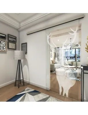 Glasschiebetür SLIM-LINE Widder Gelasert Auf Klarglas