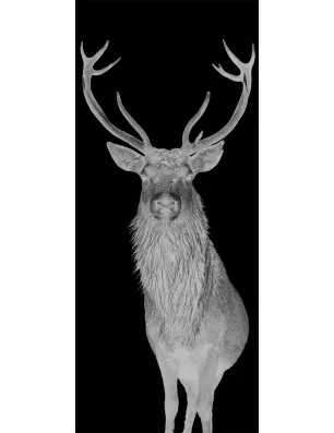 Glasschiebetür SLIM-LINE Widder Gelasert Auf Klarglas