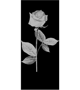 Glasschiebetür SLIM-LINE Rose I Gelasert Auf Klarglas