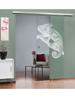 Glasschiebetür SLIM-LINE Camelion II Gelasert Auf Klarglas