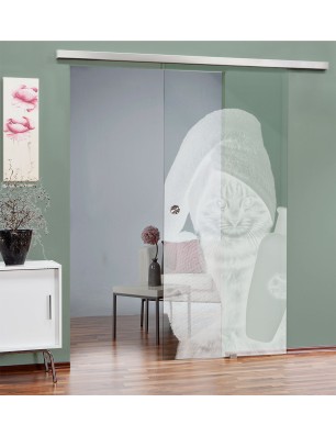 Glasschiebetür SLIM-LINE Ready Gelasert Auf Klarglas