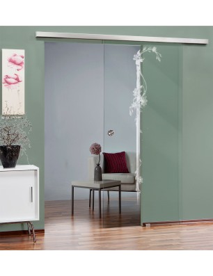 Glasschiebetür SLIM-LINE Floral Schwert Gelasert Auf Klarglas
