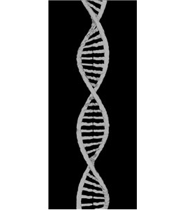 Glasschiebetür SLIM-LINE "DNA" Gelasert Auf Klarglas