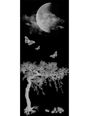 Glasschiebetür SLIM-LINE Night Gelasert Auf Klarglas