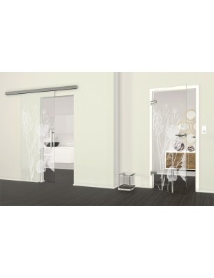 Glasschiebetür SLIM-LINE Blume 7 Gelasert Auf Klarglas