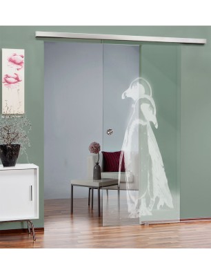 Glasschiebetür SLIM-LINE Pinguine Gelasert Auf Klarglas
