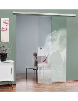 Glasschiebetür SLIM-LINE Elefant 3 Gelasert Auf Klarglas