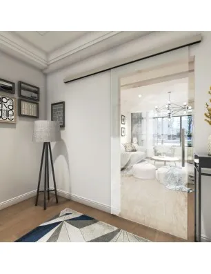 Glasschiebetür SLIM-LINE Elefant 3 Gelasert Auf Klarglas