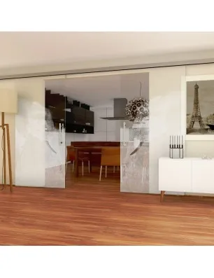 Glasschiebetür SLIM-LINE Elefant 3 Gelasert Auf Klarglas