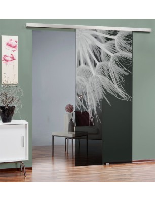 Glasschiebetür SLIM-LINE Pusteblume II Gelasert Auf Grauglas