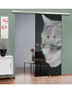 Glasschiebetür SLIM-LINE Wolf Gelasert Auf Grauglas