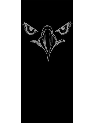 Glasschiebetür SLIM-LINE Eagle Eye Gelasert Auf Grauglas