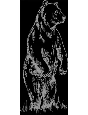 Glasschiebetür SLIM-LINE Skull 3 Gelasert Auf Grauglas