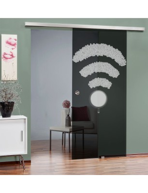 Glasschiebetür SLIM-LINE Kaffee - Wifi Gelasert Auf Grauglas