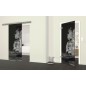 Glasschiebetür SLIM-LINE Klippe II Gelasert Auf Grauglas Glasschiebetür SLIM-LINE Klippe II Gelasert Auf Grauglas
