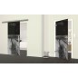 Glasschiebetür SLIM-LINE Steg III Gelasert Auf Grauglas Glasschiebetür SLIM-LINE Steg III Gelasert Auf Grauglas