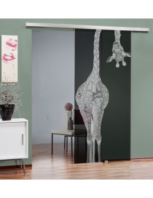 Glasschiebetür SLIM-LINE Giraffenhals Gelasert Auf Grauglas