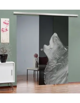Glasschiebetür SLIM-LINE Wolf 2 Gelasert Auf Grauglas