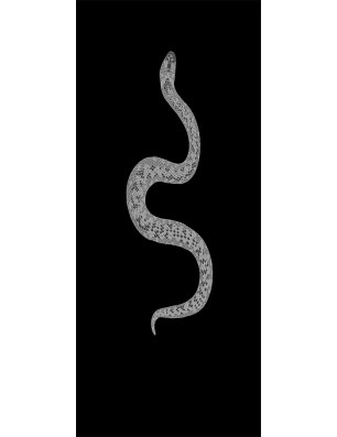 Glasschiebetür SLIM-LINE Snake Gelasert Auf Grauglas