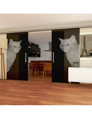 Glasschiebetür SLIM-LINE Cats Gelasert Auf Grauglas