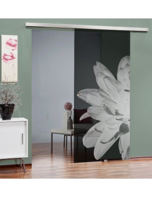 Glasschiebetür SLIM-LINE Blume 2 Gelasert Auf Grauglas