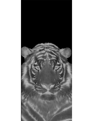 Glasschiebetür SLIM-LINE Tigerkopf Gelasert Auf Grauglas