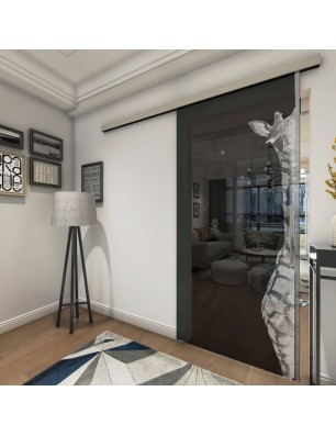 Glasschiebetür SLIM-LINE Giraffe Gelasert Auf Grauglas
