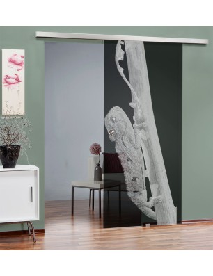 Glasschiebetür SLIM-LINE Camelion Gelasert Auf Grauglas